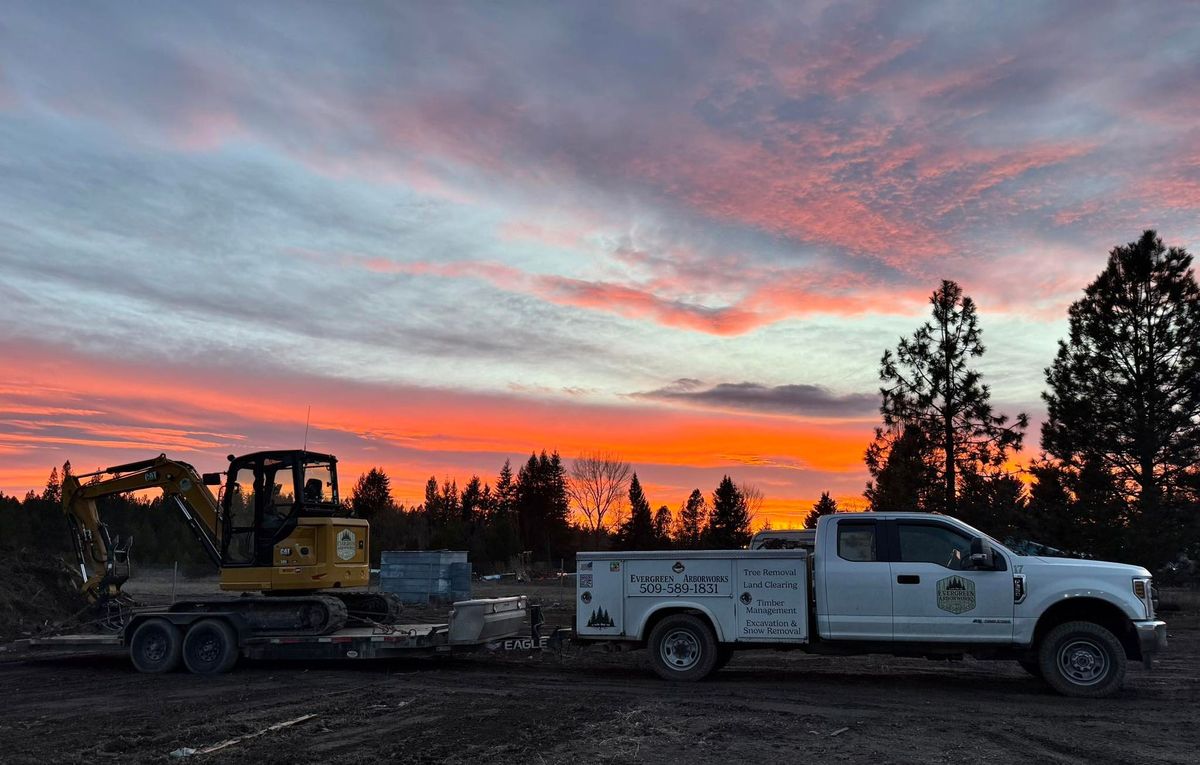 Evergreen Arborworks crew working timber at dusk in Eastern Washington