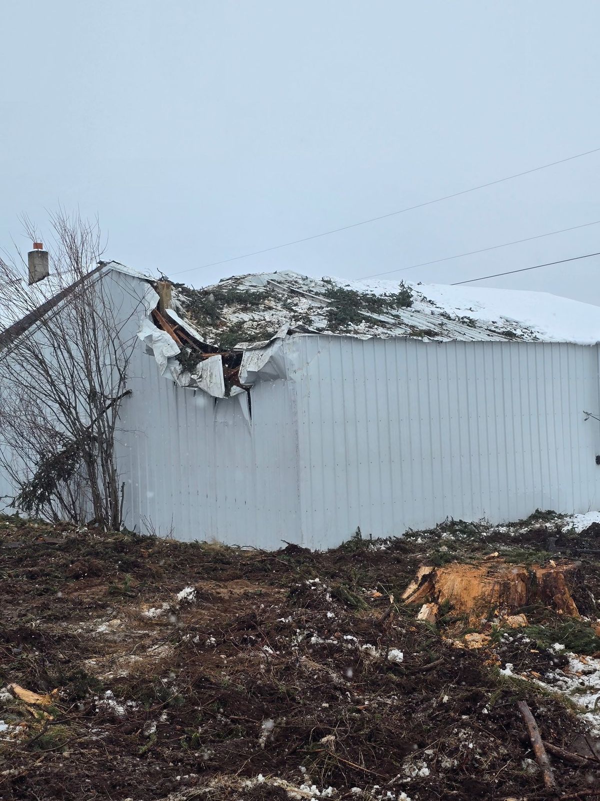 Land clearing and mulching
